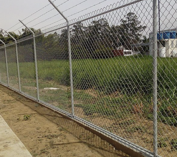 Mallas o púas para control de aves