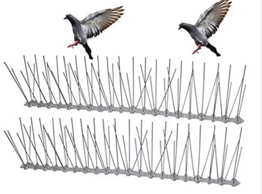 Instalación adicional de mallas o púas para aves