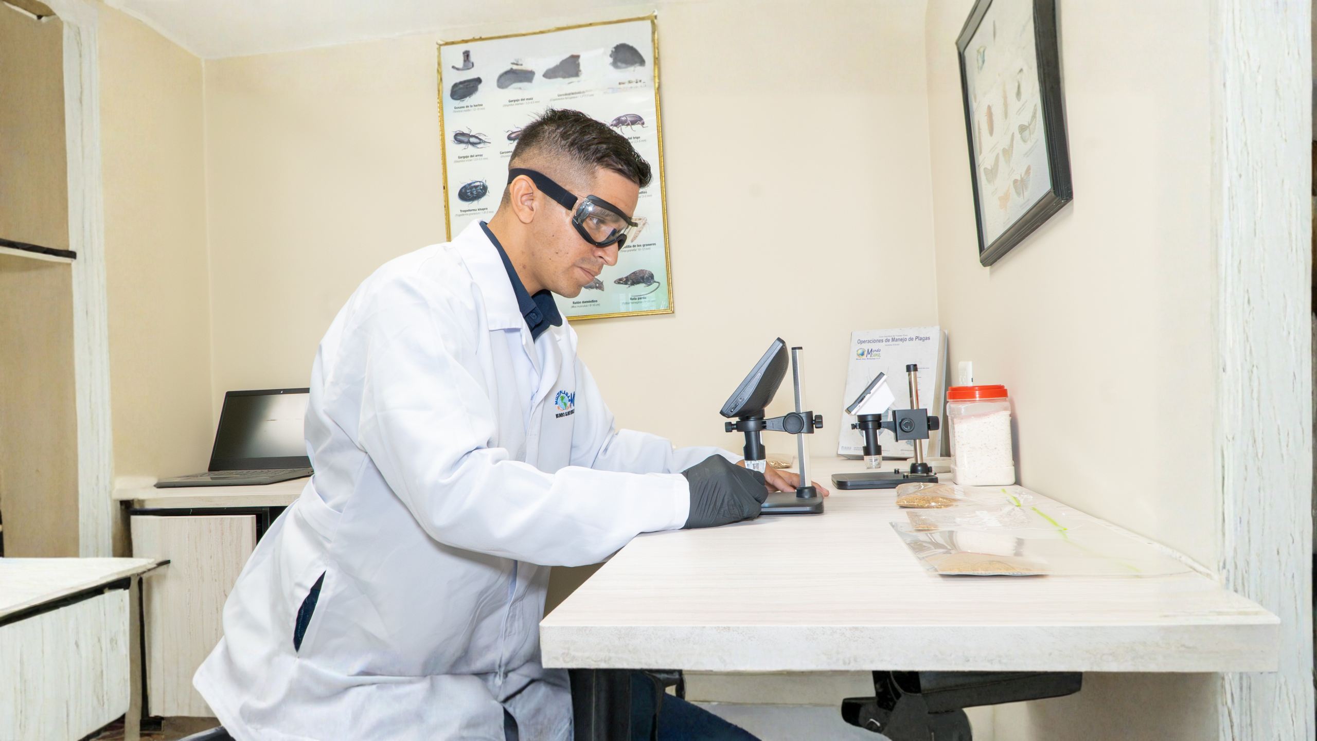 Servicio de desinsectación profesional