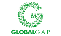 Global GAP